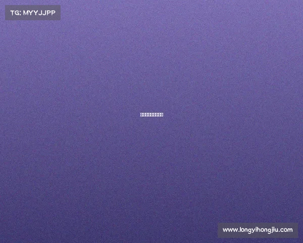 奉贤赛事网奉贤赛车